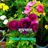 Swati M.