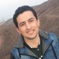 Ehsan Lotfi