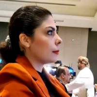 Marjan Bagheri Raad