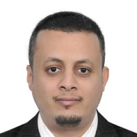 Hani Alariqi