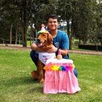 Steven Rincon
