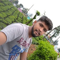 Gopi P