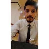 Muhammad Hamza Mirza