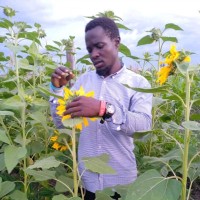 Ostine Omondi