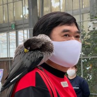 Luiz Akira Saito