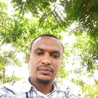 Fasil Yilma
