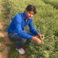 Dharmendra Patidar