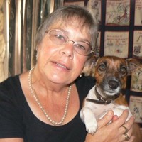 Lyn Morgan