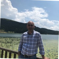 Bahadır Tunç