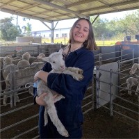 Phoebe Targett