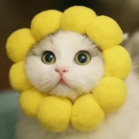 尹维东
