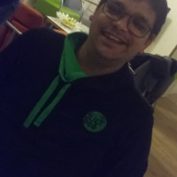 Frans Hoogstede