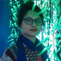 Himu Sarkar
