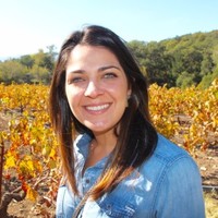 Brunna Carvalho Silva Moreira