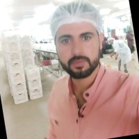 محمد السيد عبد الغفار