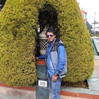 Tulshi Roy