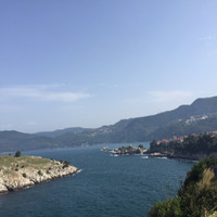 Fehmi Tayyareci