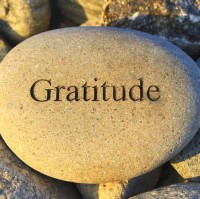 Gratitude Box