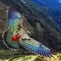 Mahadev Kate