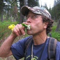 Paul Rappaport