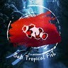 Bali Tropical Fish