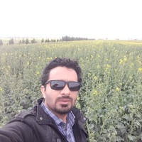 Sadegh Movafegh