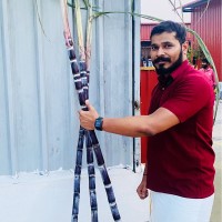 Sundar P