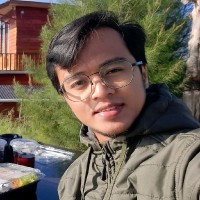 Fikri Hasnul