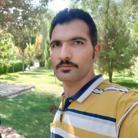 داود کمالی