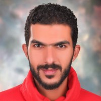 IBRAHIM FARID