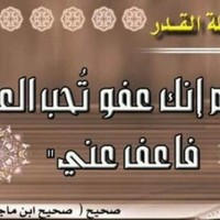 Mahmoud Mansour
