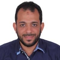 Mohammed Salah, Togaf, Pmp