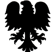 Eagle Security Systems