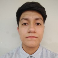 Jesús Miguel Peralta Olivarría