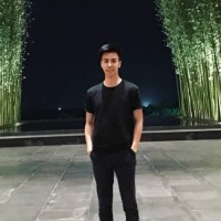 Michel HOANG