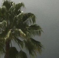 Alexander Hermosillo