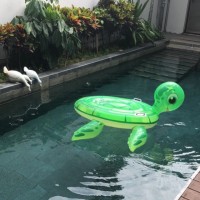 黄志云