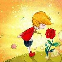 云淡淡