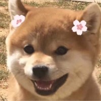 林佩欣