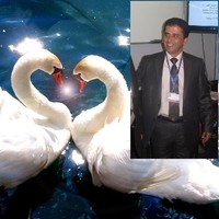 wasfi alramadina