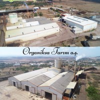 Organiksa Agriculture