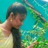 V Hema