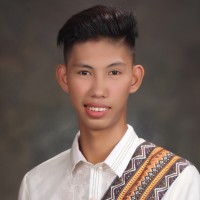 Joshua Panis