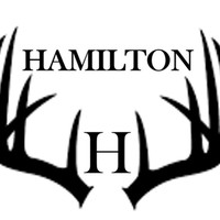 Mark Hamilton, Asp