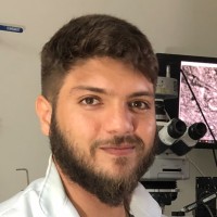 Aelton Araujo