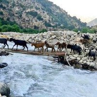 Samad Afghan
