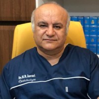 Hamit Ateş