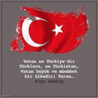 Alp Kaya