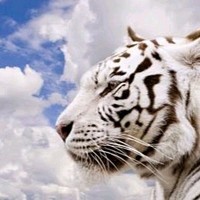 Christian Quispe Graus