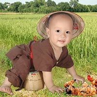 Vinh Trần